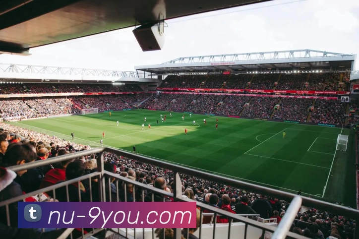 App Interface Preview